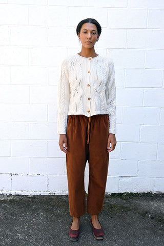 Velvet Braghe Pants in Rust