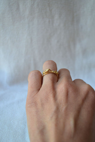 Hummingbird Ring