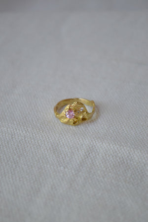 Oyster Ring