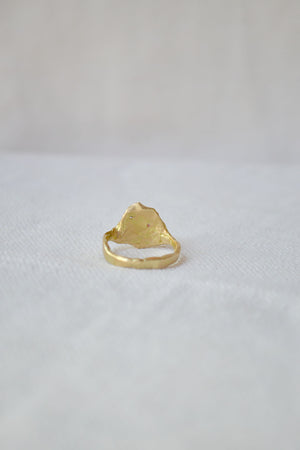 Oyster Ring