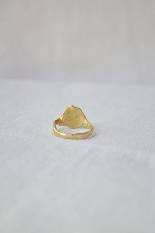 Oyster Ring