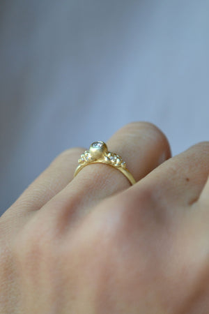 Gold Encrusted Solitaire Pod Ring