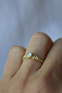 Gold Encrusted Solitaire Pod Ring