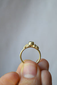 Gold Encrusted Solitaire Pod Ring