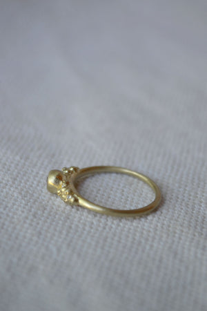 Gold Encrusted Solitaire Pod Ring