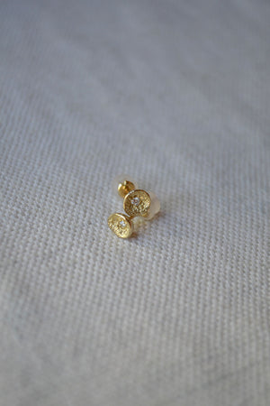 Lava Shell Studs Gold