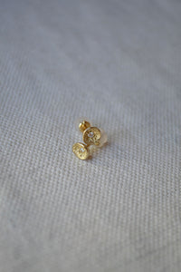 Lava Shell Studs Gold