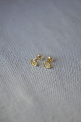 Lava Shell Studs Gold