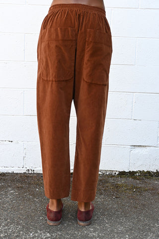 Velvet Braghe Pants in Rust