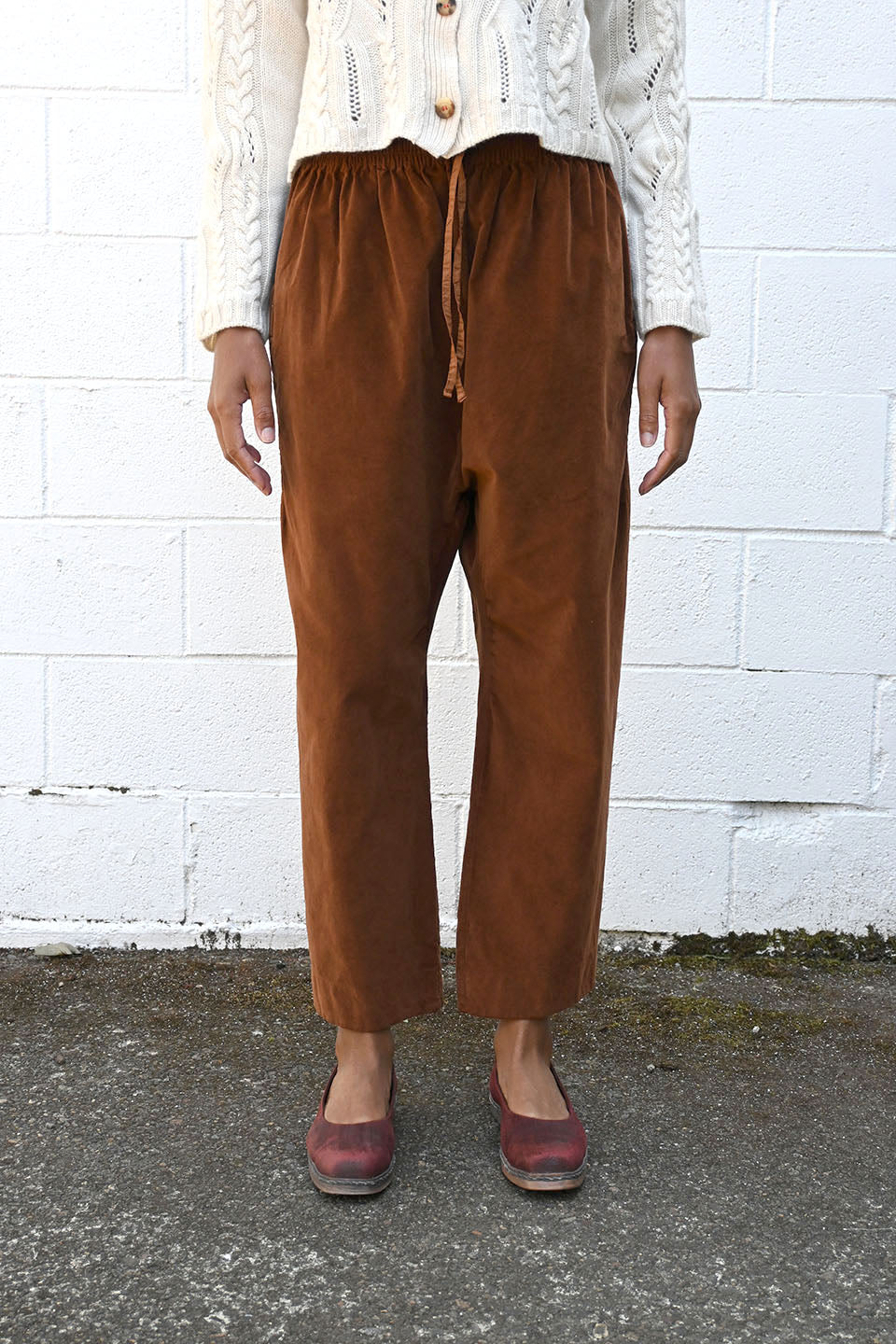 Velvet Braghe Pants in Rust