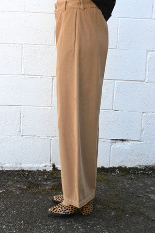 Panta Bum Camel