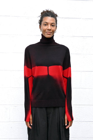 Cashmere Turtleneck