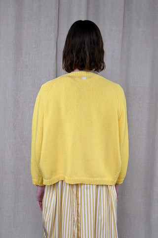 Paleta Cardigan in Yellow