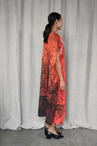 Print Tube Dress