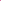 Bright Pink Shirt