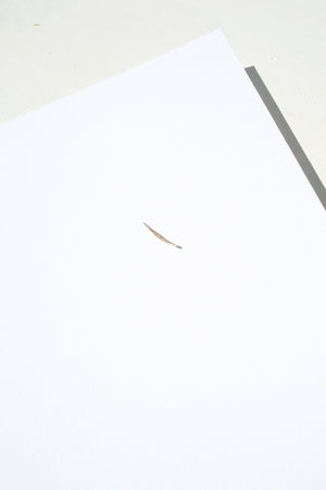 Stick Wisp