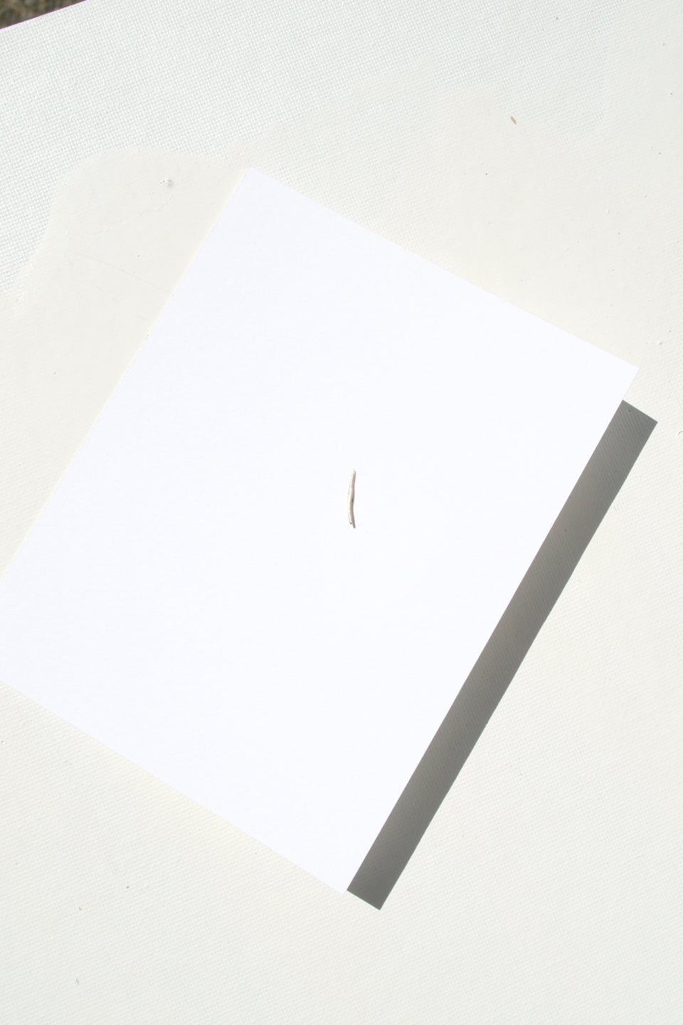 Stick Wisp