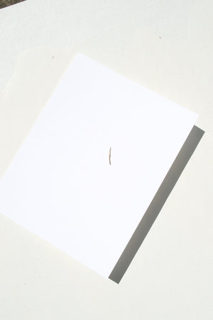 Stick Wisp