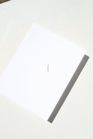 Stick Wisp