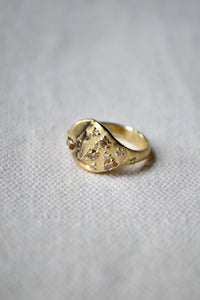 Gold and Diamond Ring