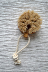 Bath Brush Puck