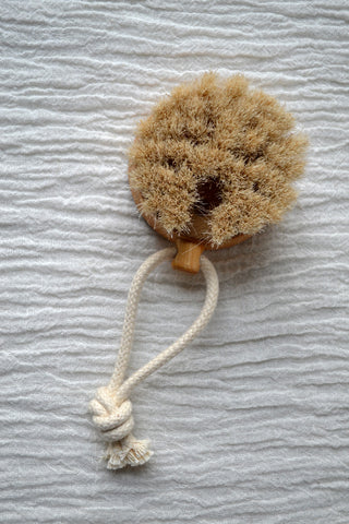 Bath Brush Puck