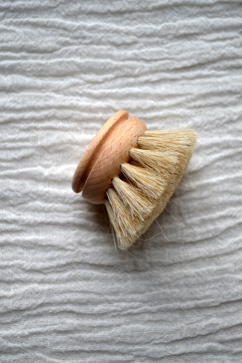 Everyday Dish Brush / Replacement Brush