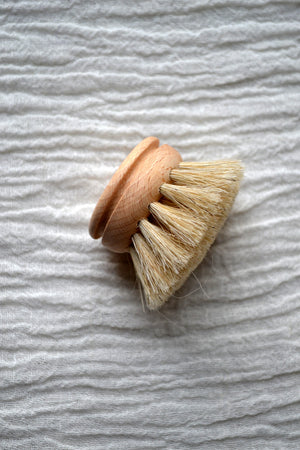 Everyday Dish Brush / Replacement Brush