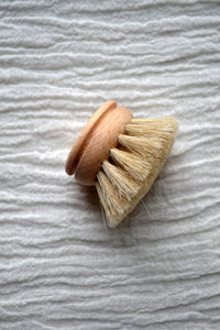 Everyday Dish Brush / Replacement Brush
