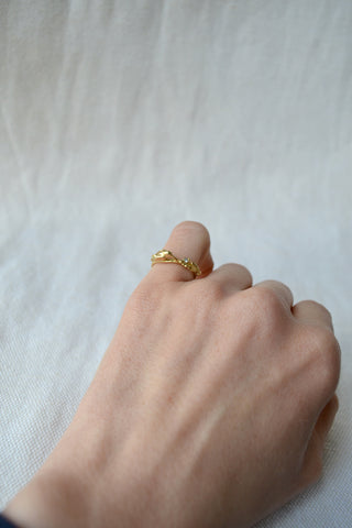 Hummingbird Ring