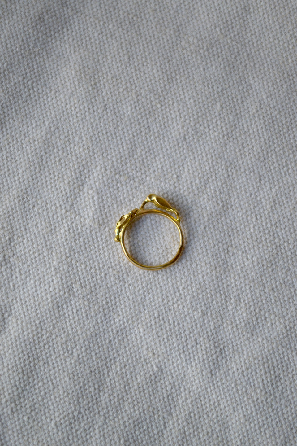 Hummingbird Ring