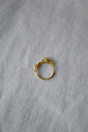 Hummingbird Ring