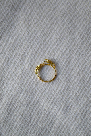 Hummingbird Ring