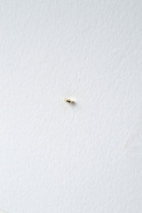 Semi Stud Earring